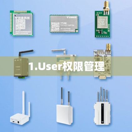 1.User权限管理 1.User权限管理