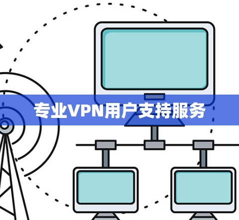 专业VPN用户支持服务