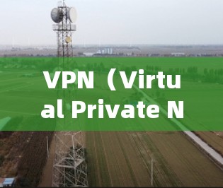 VPN(Virtual Private Network,VPN)是一种技术手段,用于保护用户的数据安全,防止被非法访问。以下是关于VPN隐私加密工具的详细信息 VPN(Virtual Private Network,VPN)是一种技术手段,用于保护用户的数据安全,防止被非法访问。以下是关于VPN隐私加密工具的详细信息