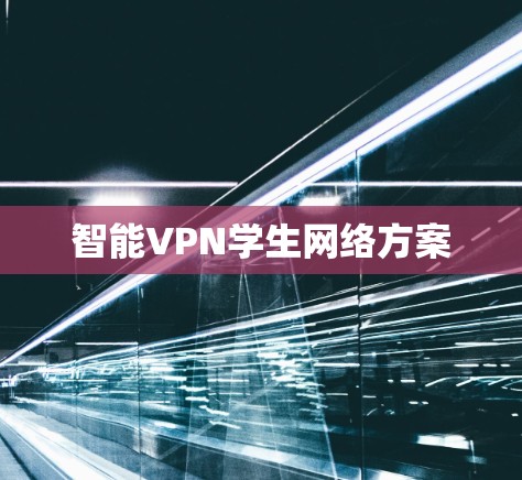 智能VPN学生网络方案 智能VPN学生网络方案