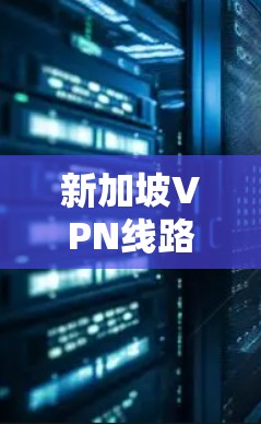 新加坡VPN线路，选择安全的连接方式
