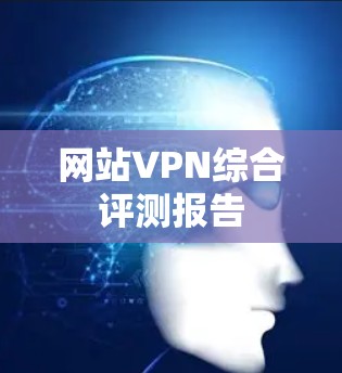 网站VPN综合评测报告 网站VPN综合评测报告