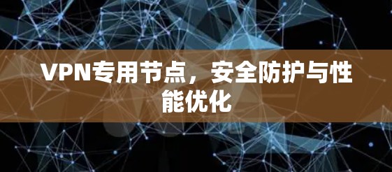 VPN专用节点，安全防护与性能优化