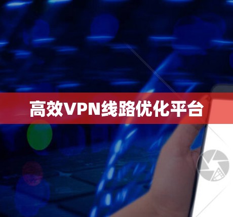 高效VPN线路优化平台 高效VPN线路优化平台