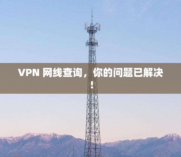 VPN 网线查询，你的问题已解决！