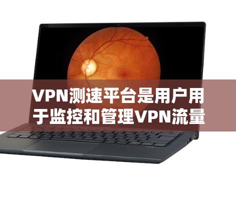 VPN测速平台是用户用于监控和管理VPN流量和数据传输速率的重要工具。以下是其功能和作用的详细总结 VPN测速平台是用户用于监控和管理VPN流量和数据传输速率的重要工具。以下是其功能和作用的详细总结