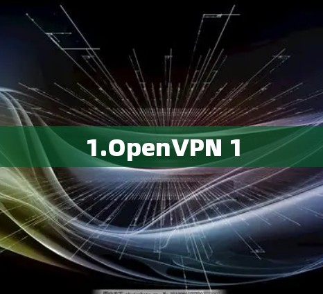 1.OpenVPN 1 1.OpenVPN 1