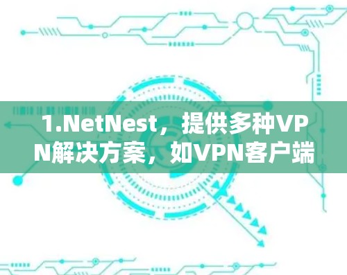 1.NetNest,提供多种VPN解决方案,如VPN客户端、VPN云服务和VPN应用 1.NetNest,提供多种VPN解决方案,如VPN客户端、VPN云服务和VPN应用