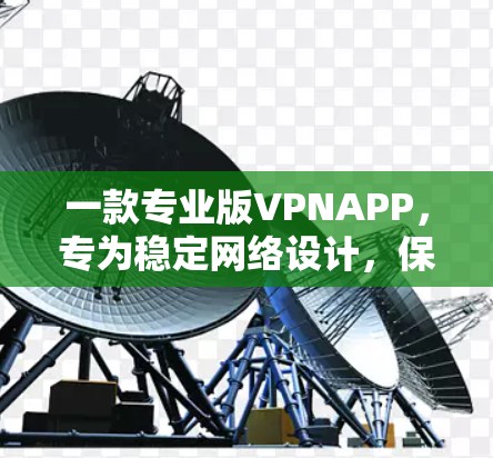 一款专业版VPNAPP，专为稳定网络设计，保障数据传输安全！