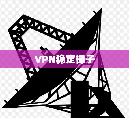 VPN稳定梯子 VPN稳定梯子