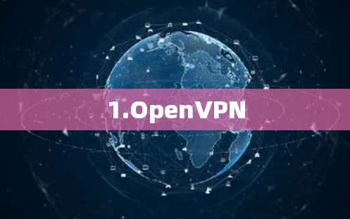 1.OpenVPN 1.OpenVPN