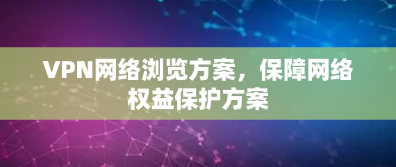 VPN网络浏览方案，保障网络权益保护方案