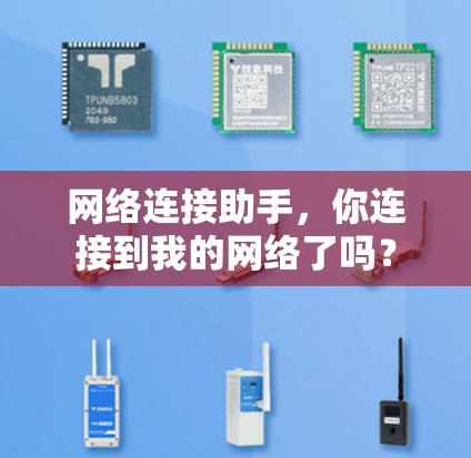 网络连接助手，你连接到我的网络了吗？