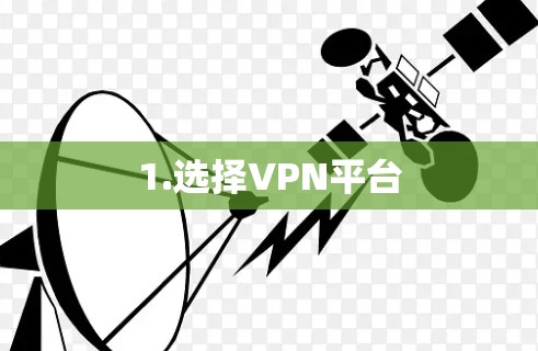 1.选择VPN平台 1.选择VPN平台