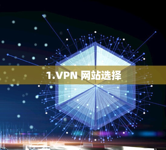 1.VPN 网站选择