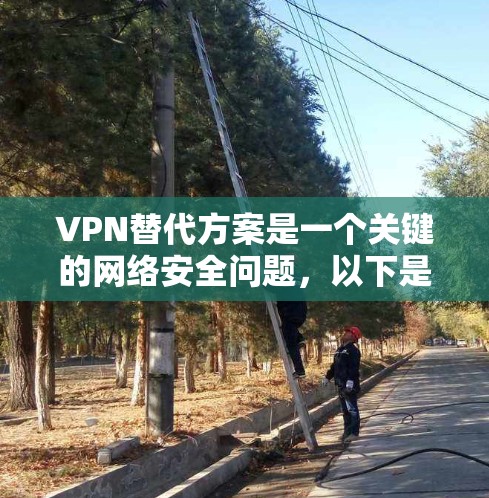 VPN替代方案是一个关键的网络安全问题，以下是几种常见的替代方法