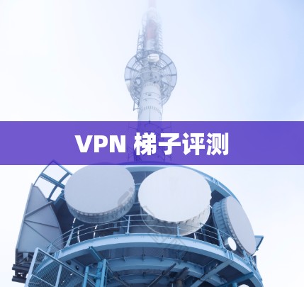 VPN 梯子评测