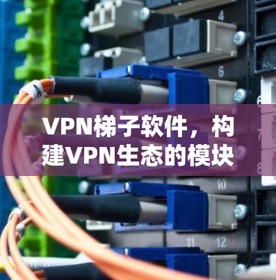 VPN梯子软件，构建VPN生态的模块化基础设施