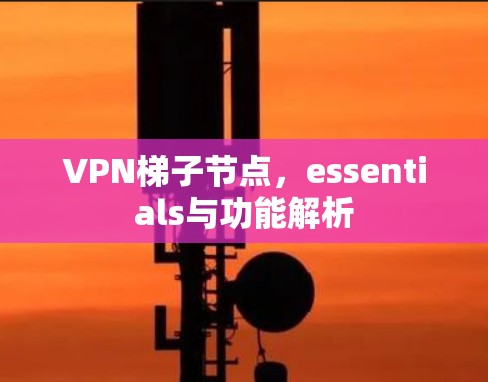 VPN梯子节点，essentials与功能解析