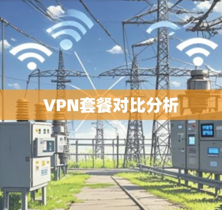 VPN套餐对比分析