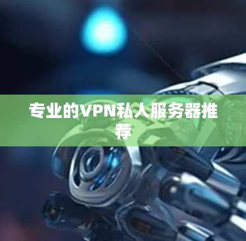 专业的VPN私人服务器推荐