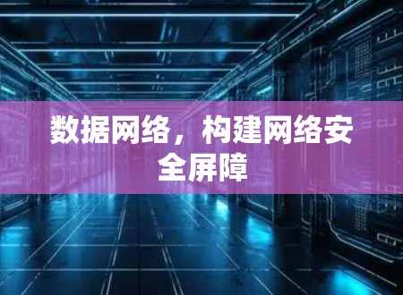 数据网络，构建网络安全屏障
