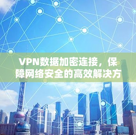 VPN数据加密连接，保障网络安全的高效解决方案