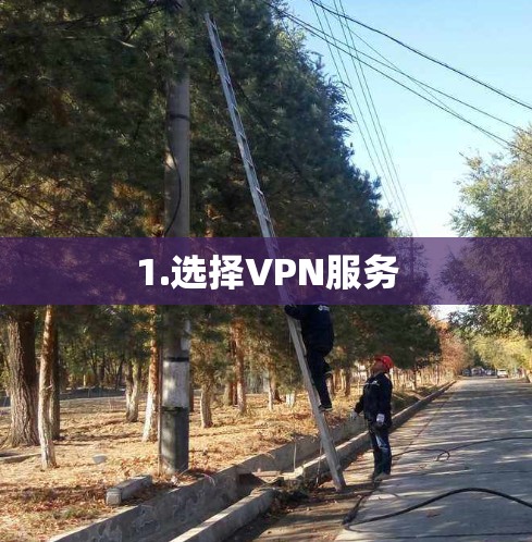 1.选择VPN服务 1.选择VPN服务