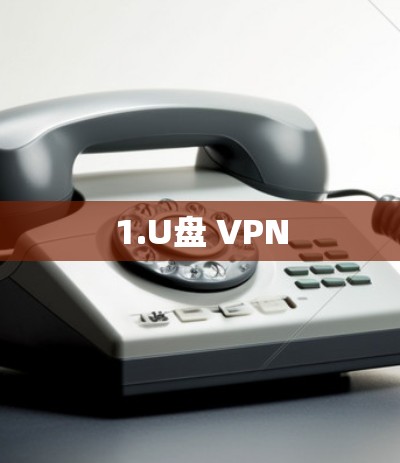 1.U盘 VPN 1.U盘 VPN