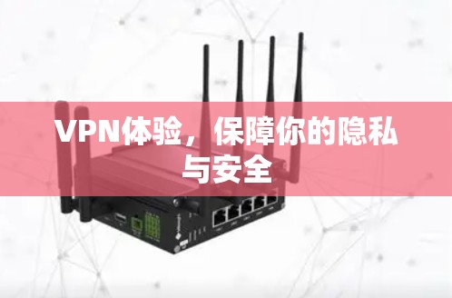 VPN体验，保障你的隐私与安全