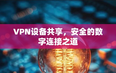 VPN设备共享，安全的数字连接之道