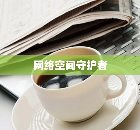 网络空间守护者 网络空间守护者