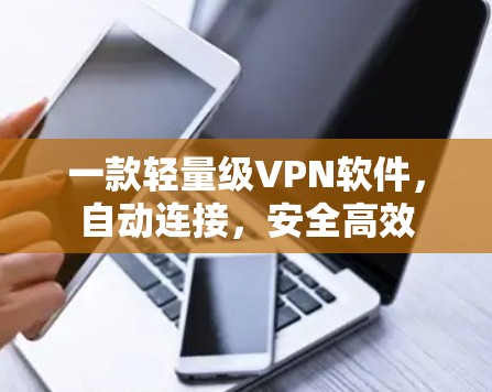 一款轻量级VPN软件，自动连接，安全高效