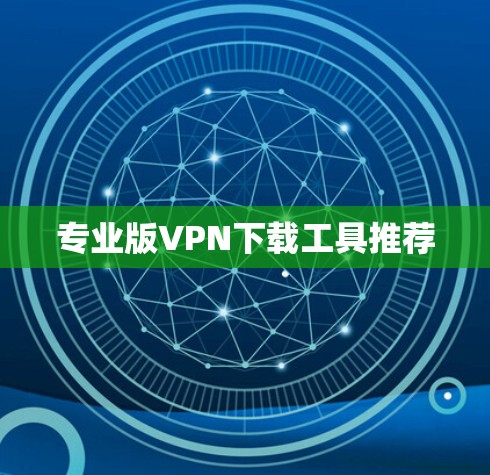 专业版VPN下载工具推荐