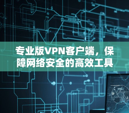 专业版VPN客户端，保障网络安全的高效工具