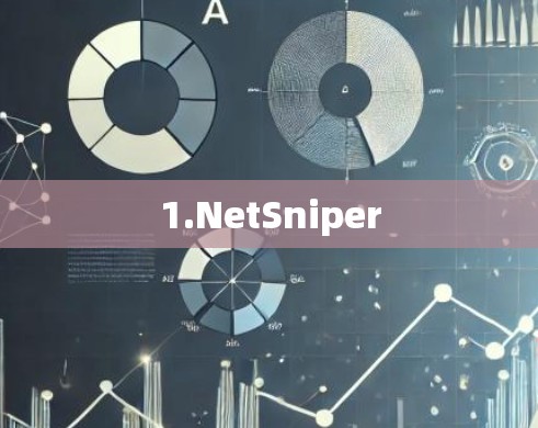 1.NetSniper