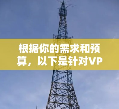 根据你的需求和预算,以下是针对VPN软件的推荐 根据你的需求和预算,以下是针对VPN软件的推荐