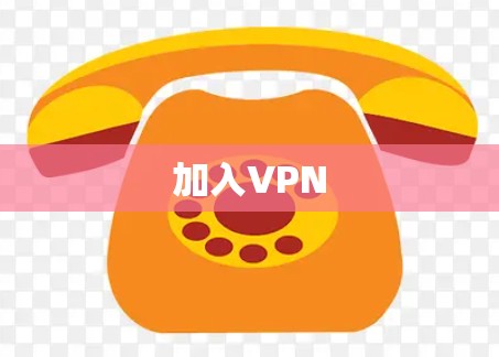 加入VPN 加入VPN